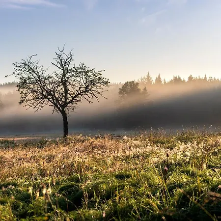 Hojsova Straz Brcalnik Za Bukem Lejlighed Frischwinkel