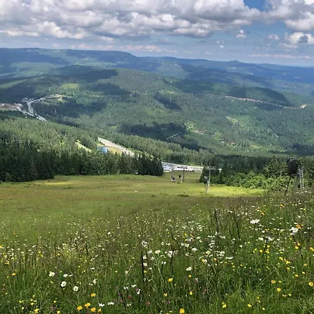 Hojsova Straz Brcalnik Za Bukem Frischwinkel